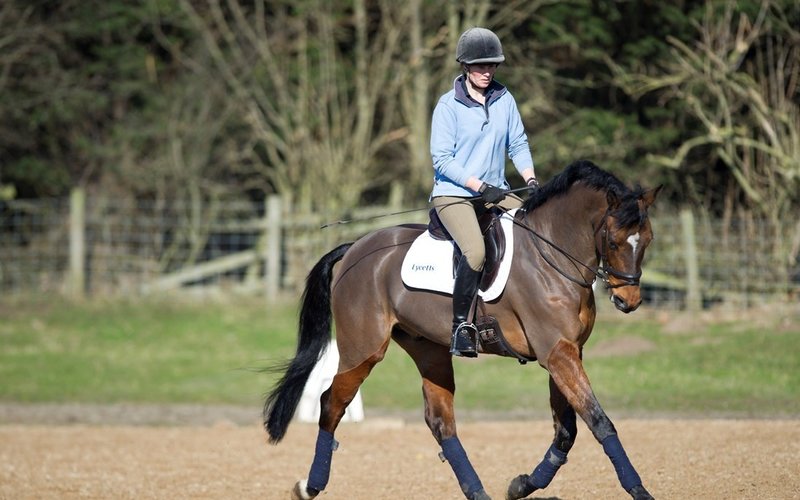 Normal post surface winter training