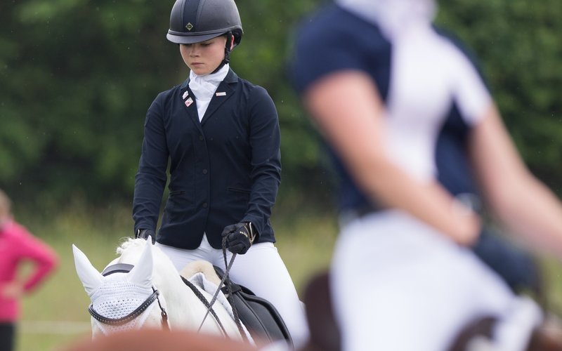 Normal post warming up for dressage
