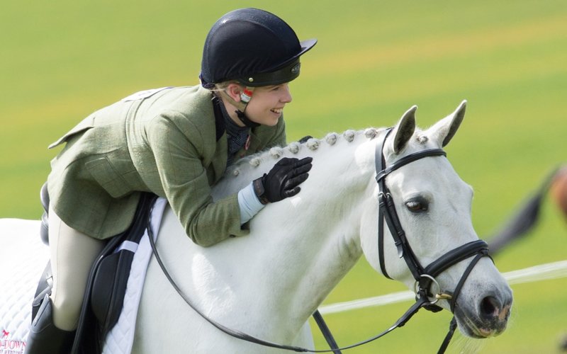 Normal post happy horse