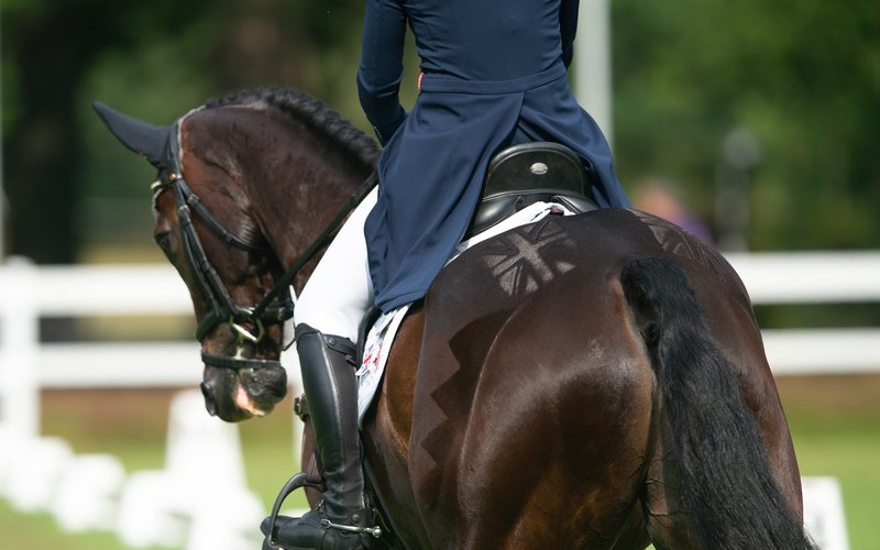 Normal post rider position
