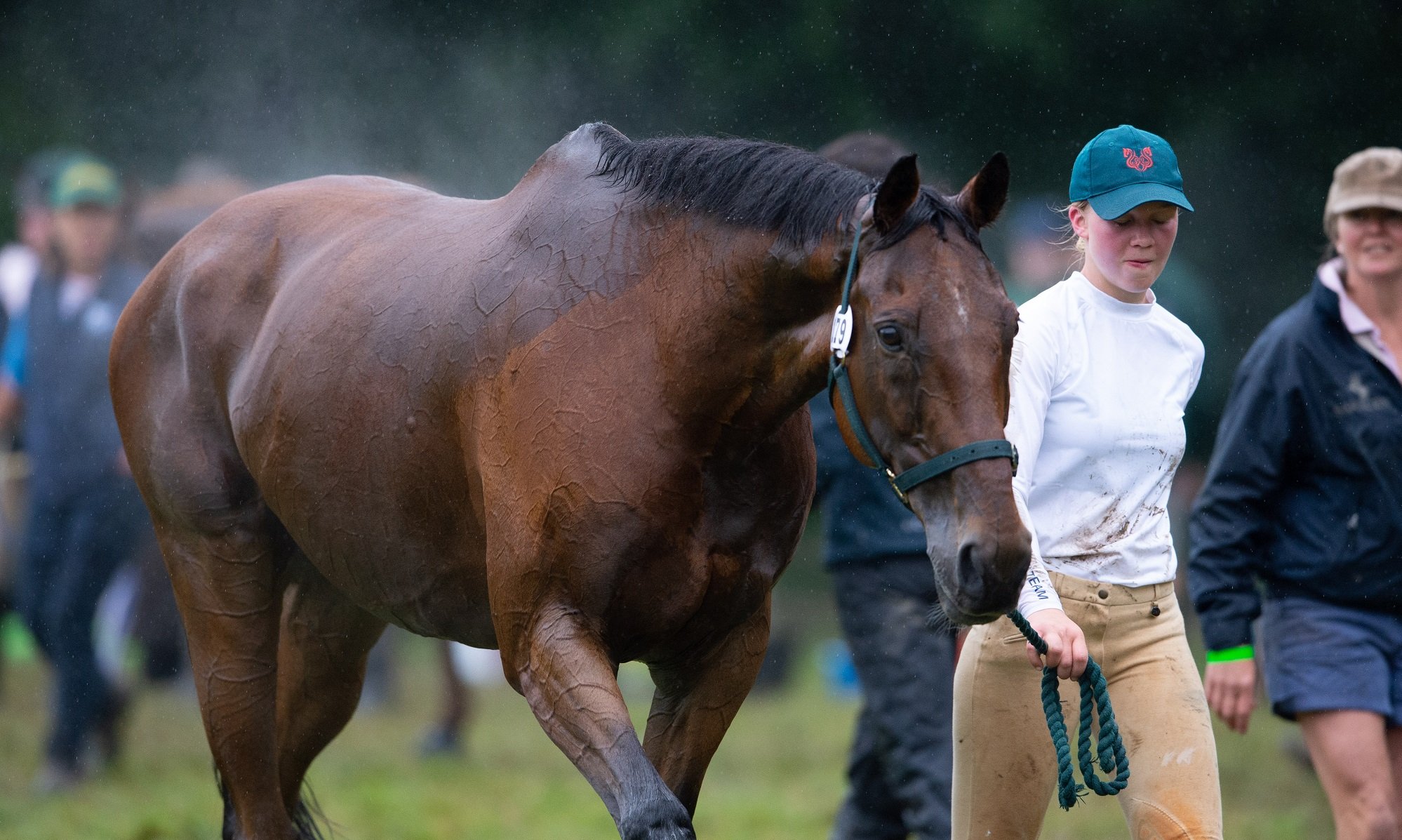 british-eventing-life-how-to-help-your-horse-recover-after-exercise