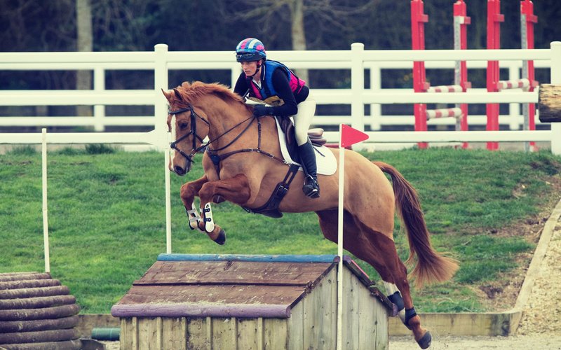 British Eventing Life | Features And Updates For Eventing Fans