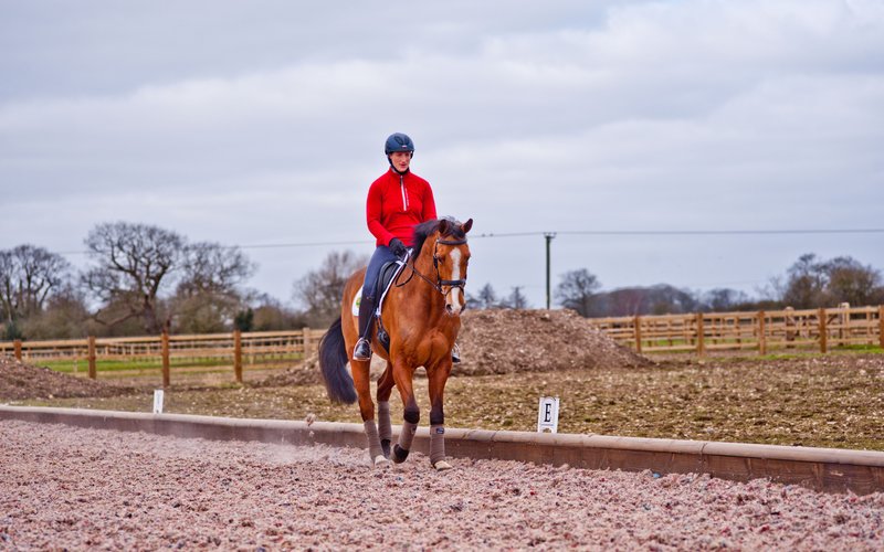Normal post dressage training ruth edge