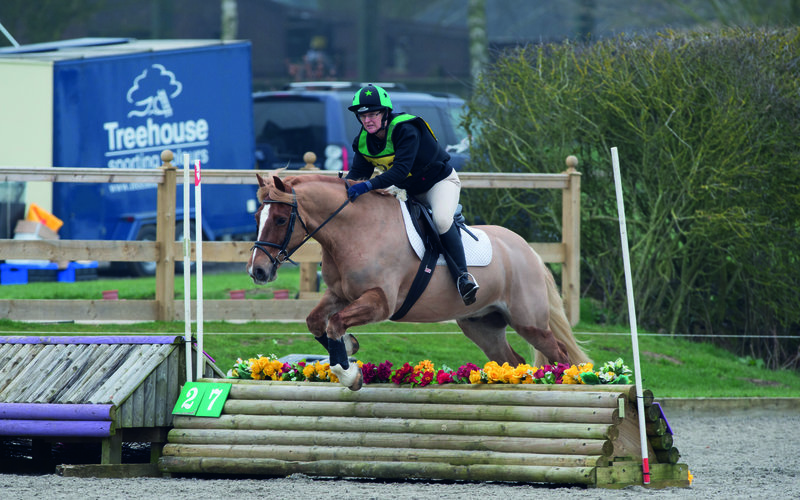 Normal post be80 champ arena eventing carol fletcher